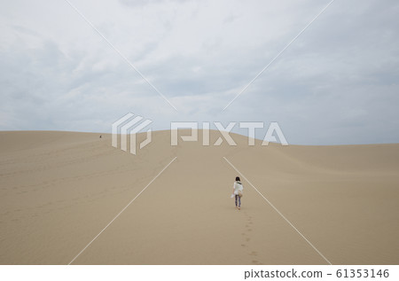 鳥取沙丘 鳥取沙丘 61353146