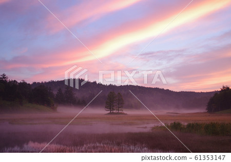 奧茲的黎明 奧茲的黎明 61353147