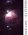 Great Orion Nebula 61353590