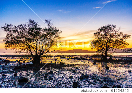 Sea sunset or sunrise with colorful of sky and Sea sunset or sunrise with colorful of sky and 61354245