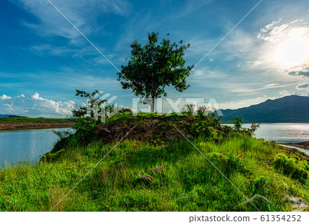 Tree and view of landscape nature and river and Tree and view of landscape nature and river and 61354252