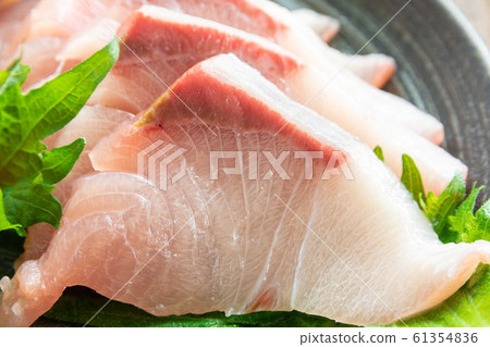 黃尾魚刺身 61354836