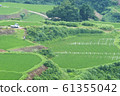Rice paddy of Star Pass 61355042