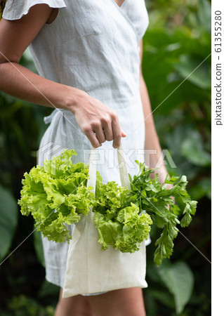 Green lettuce salad in textile zero waste glocery reuse bag. 61355280