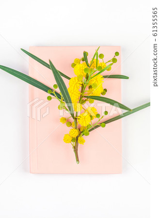 Mimosa and pink notepad on white background 61355565