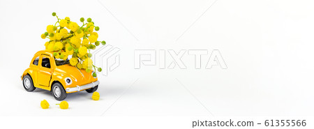 Car toy model delivering bouquet of mimosa flowers 61355566