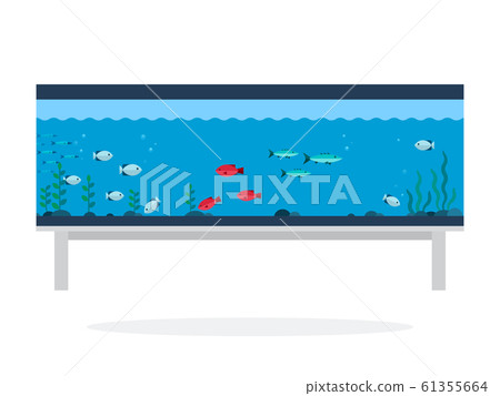 Aquarium with exotic fish flat isolated 61355664