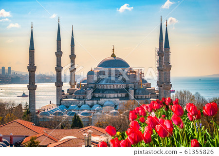 Blue Mosque and tulips Blue Mosque and tulips 61355826