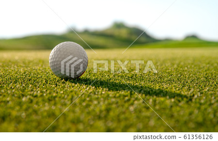 background of green grass 61356126