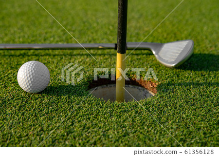 background of green grass background of green grass 61356128