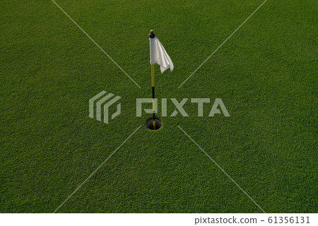 background of green grass background of green grass 61356131