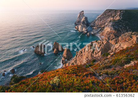 Praia da Ursa. Sintra Region. Portugal. Ursa Beach scenic seascape with sea stacks and cliffs in evening sunset light on Atlantic Ocean coast 61356362