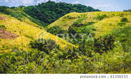 Yellow Hills with some Jungle between, Nusa Penida Island, Bali, Indonesia Yellow Hills with some Jungle between, Nusa Penida Island, Bali, Indonesia 61356533