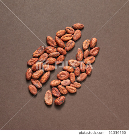 Natural cocoa peas in the shape of big bean. Natural cocoa peas in the shape of big bean. 61356560