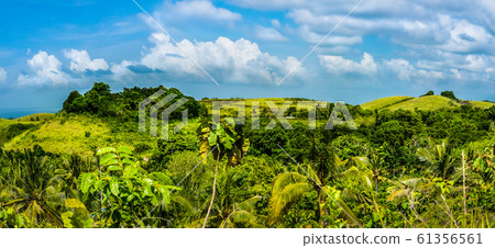 Fresh Yellow coloured Hills with some Jungle between, Nusa Penida Island, Bali, Indonesia Fresh Yellow coloured Hills with some Jungle between, Nusa Penida Island, Bali, Indonesia 61356561