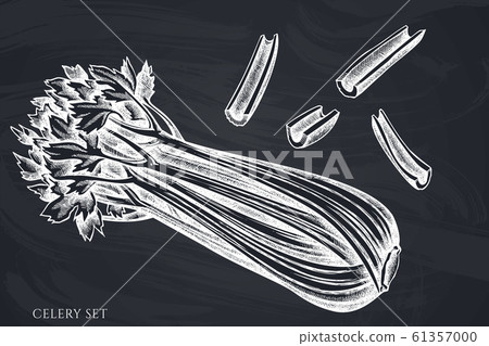 Vector set of hand drawn chalk celery 61357000