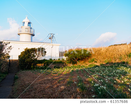 Jogashima (winter) 61357686