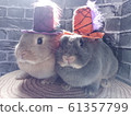 Rabbit Halloween Fashion Show 1 61357799
