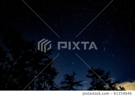 starry skies 61359846