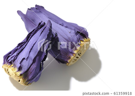 Lotus flower  Lotus flower  61359918