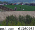 The spring of the ranch seen from the hill in Biei 61360962
