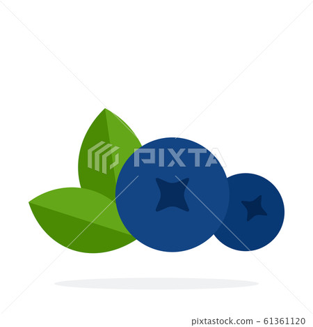 Blueberry berries front view vector flat material design isolated object on white background. 61361120