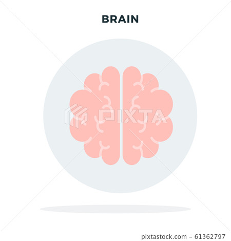 Human brain in a gray circle vector flat isolated 61362797
