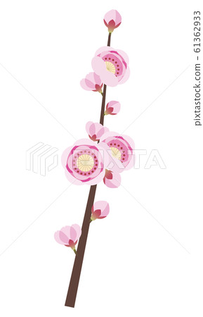 Peach peach peach blossom branch 61362933