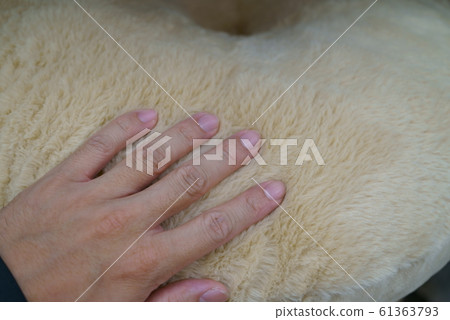 手觸摸墊 61363793