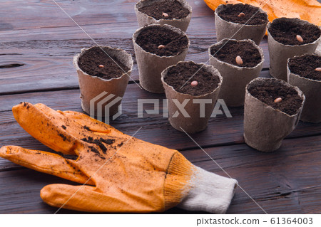 Gardener has finished seeding pots. 61364003