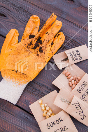 Garden seeding concept. 61364005