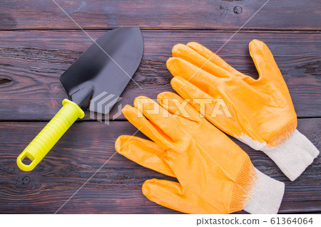 Gardener's accessories, gloves and trowel. 61364064