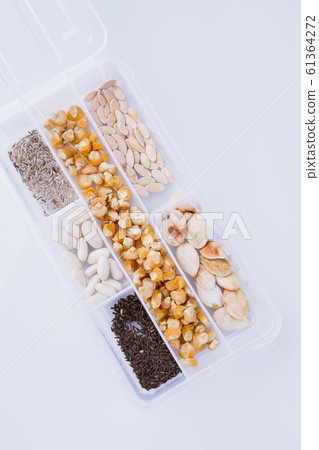 White plastic seed box container with grain seeds. White plastic seed box container with grain seeds. 61364272