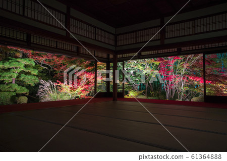 Night view of autumn leaves at Tenjuan, a temple in Nanzenji, Kyoto Night view of autumn leaves at Tenjuan, a temple in Nanzenji, Kyoto 61364888