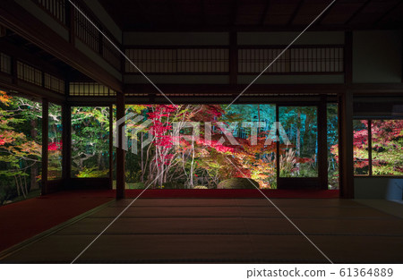 Night view of autumn leaves at Tenjuan, a temple in Nanzenji, Kyoto Night view of autumn leaves at Tenjuan, a temple in Nanzenji, Kyoto 61364889