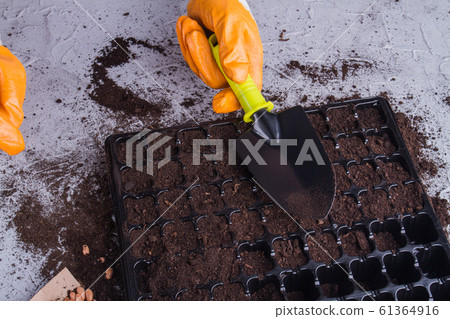 Gardener's filling plastic cell tray with a soil using trowel. Gardener's filling plastic cell tray with a soil using trowel. 61364916