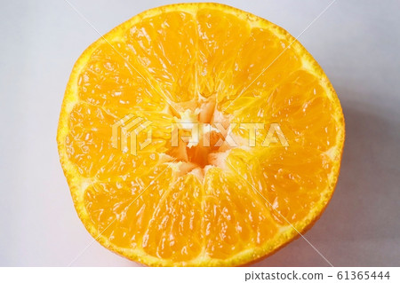 Rad cut section 61365444