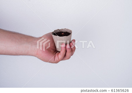 Planted gardening pot with a seed. Planted gardening pot with a seed. 61365626