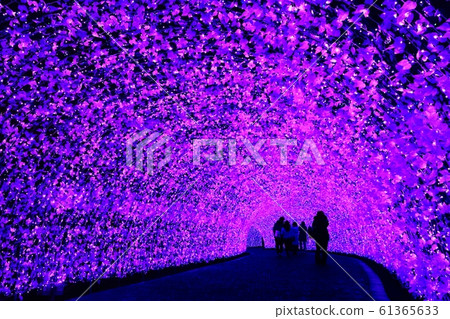 別墅村的照明 別墅村的照明 61365633