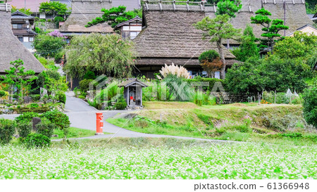 Miyama · village of Kanbaki 61366948