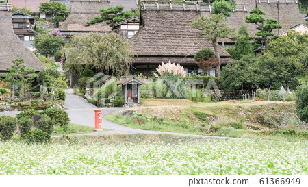 Miyama · village of Kanbaki Miyama · village of Kanbaki 61366949