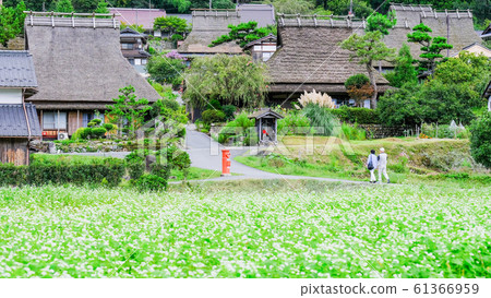 Miyama·Kanbaki村 61366959