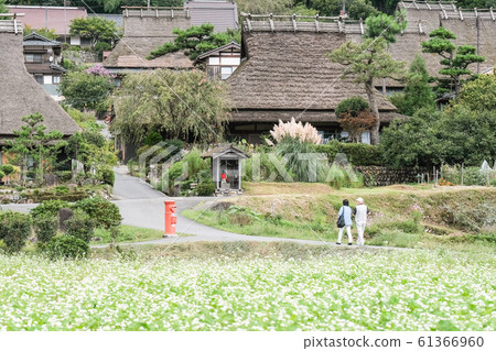 Miyama·Kanbaki村 61366960