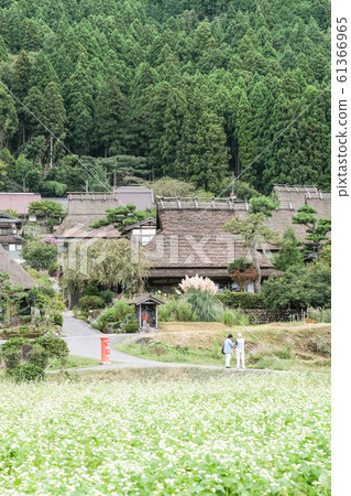 Miyama·Kanbaki村 61366965