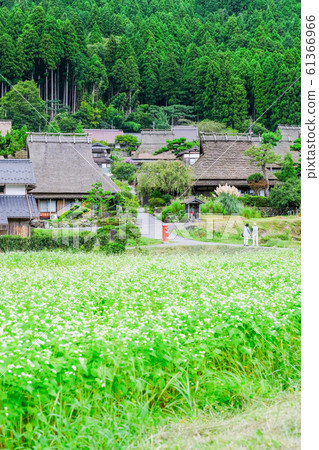 Miyama·Kanbaki村 61366966