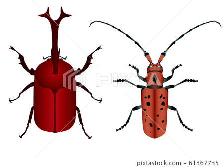 Beetle and Hoshibenika Mikiri Beetle and Hoshibenika Mikiri 61367735