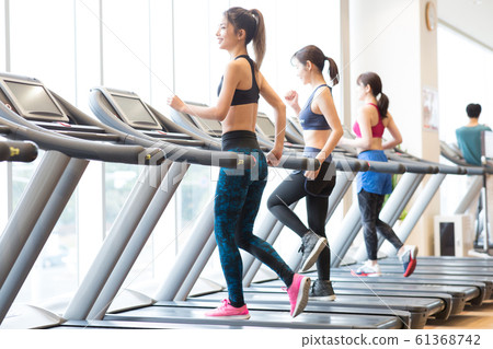 Women going to the gym Women going to the gym 61368742