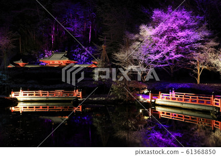 Winter light up 61368850