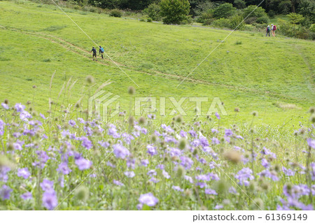 松樹藤,登山者,觀點,草原,阿祖瑪山 松樹藤,登山者,觀點,草原,阿祖瑪山 61369149