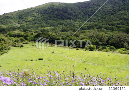 松樹藤,登山者,觀點,草原,阿祖瑪山 松樹藤,登山者,觀點,草原,阿祖瑪山 61369151